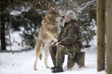 wolf kissing a man.jpg